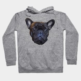 French Bulldog Drawing Hoodie